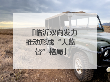 临沂双向发力推动形成“大监督”格局