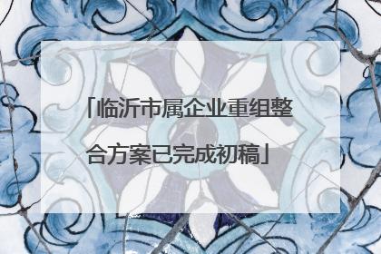 临沂市属企业重组整合方案已完成初稿