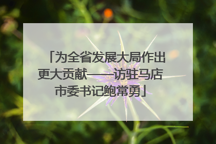 为全省发展大局作出更大贡献——访驻马店市委书记鲍常勇