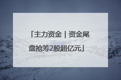 主力资金｜资金尾盘抢筹2股超亿元