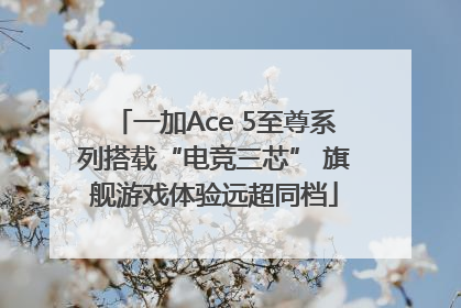 一加Ace 5至尊系列搭载“电竞三芯” 旗舰游戏体验远超同档