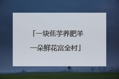 一块蕉芋养肥羊 一朵鲜花富全村