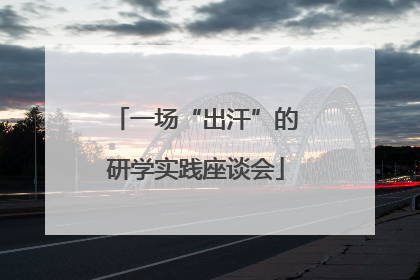 一场“出汗”的研学实践座谈会