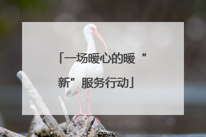 一场暖心的暖“新”服务行动