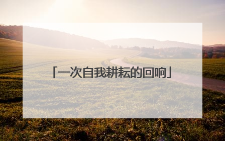 一次自我耕耘的回响