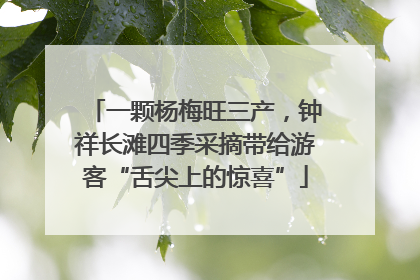 一颗杨梅旺三产，钟祥长滩四季采摘带给游客“舌尖上的惊喜”