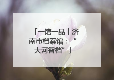 一馆一品丨济南市档案馆：“大河智档”