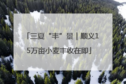 三夏“丰”景｜顺义15万亩小麦丰收在即