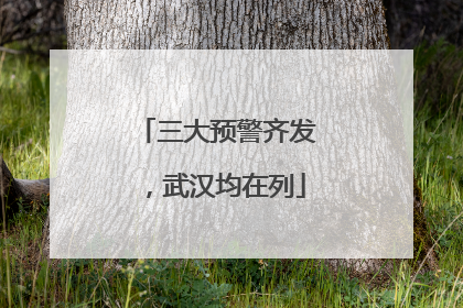 三大预警齐发，武汉均在列