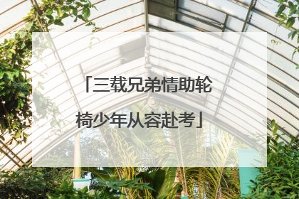 三载兄弟情助轮椅少年从容赴考