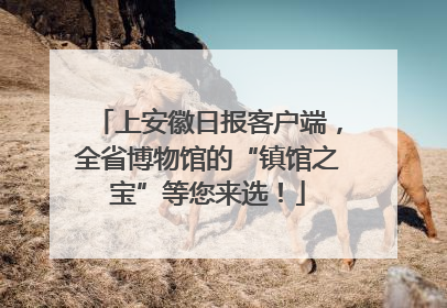 上安徽日报客户端，全省博物馆的“镇馆之宝”等您来选！