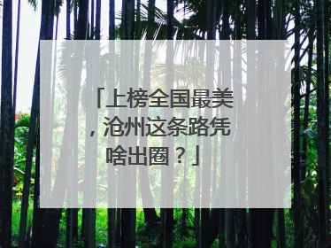上榜全国最美，沧州这条路凭啥出圈？