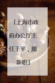 上海市政府办公厅主任王平，履新职