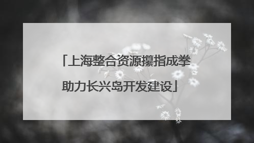 上海整合资源攥指成拳助力长兴岛开发建设