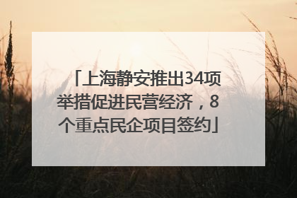 上海静安推出34项举措促进民营经济，8个重点民企项目签约