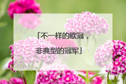 不一样的欧冠，非典型的冠军