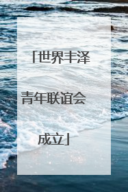 世界丰泽青年联谊会成立