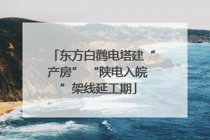 东方白鹳电塔建“产房” “陕电入皖”架线延工期