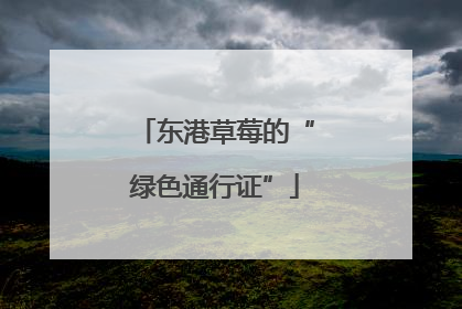 东港草莓的“绿色通行证”