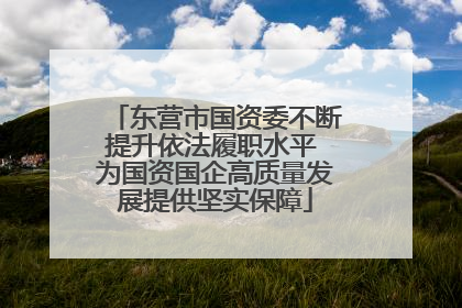 东营市国资委不断提升依法履职水平 为国资国企高质量发展提供坚实保障
