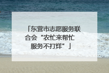 东营市志愿服务联合会“农忙来帮忙 服务不打烊”