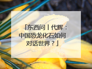 东西问丨代辉：中国恐龙化石如何对话世界？
