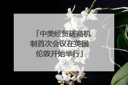 中美经贸磋商机制首次会议在英国伦敦开始举行