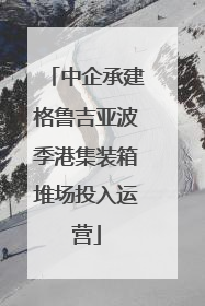 中企承建格鲁吉亚波季港集装箱堆场投入运营