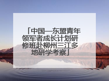 中国—东盟青年领军者成长计划研修班赴柳州三江多地研学考察
