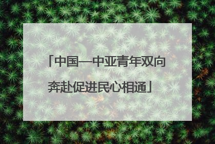 中国—中亚青年双向奔赴促进民心相通