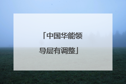中国华能领导层有调整