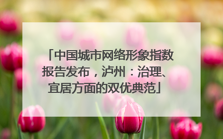 中国城市网络形象指数报告发布，泸州：治理、宜居方面的双优典范