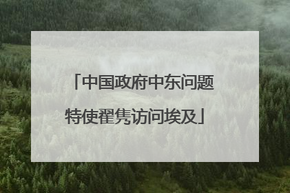 中国政府中东问题特使翟隽访问埃及