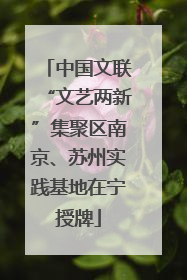 中国文联“文艺两新”集聚区南京、苏州实践基地在宁授牌