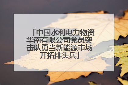 中国水利电力物资华南有限公司党员突击队勇当新能源市场开拓排头兵