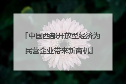中国西部开放型经济为民营企业带来新商机