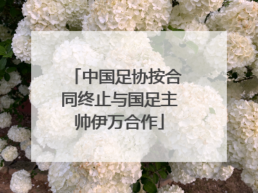 中国足协按合同终止与国足主帅伊万合作