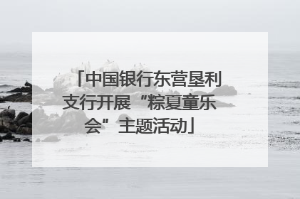 中国银行东营垦利支行开展“粽夏童乐会”主题活动