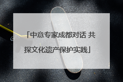 中意专家成都对话 共探文化遗产保护实践