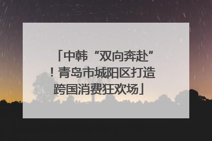 中韩“双向奔赴”！青岛市城阳区打造跨国消费狂欢场