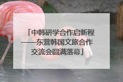 中韩研学合作启新程——东营韩国文旅合作交流会圆满落幕