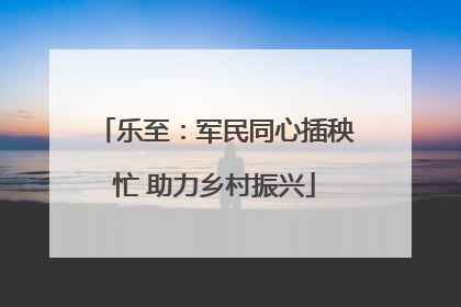 乐至：军民同心插秧忙 助力乡村振兴