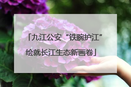 九江公安“铁腕护江”绘就长江生态新画卷