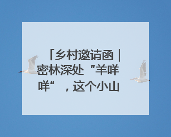 乡村邀请函｜密林深处“羊咩咩”，这个小山村如何逆袭？