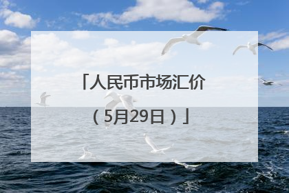 人民币市场汇价（5月29日）