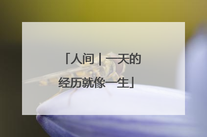 人间｜一天的经历就像一生