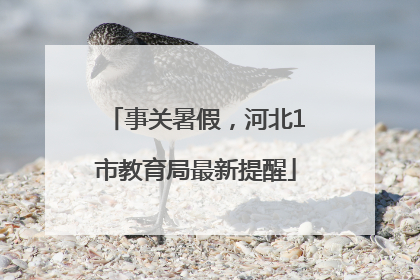 事关暑假，河北1市教育局最新提醒