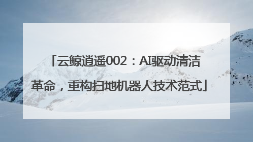 云鲸逍遥002：AI驱动清洁革命，重构扫地机器人技术范式
