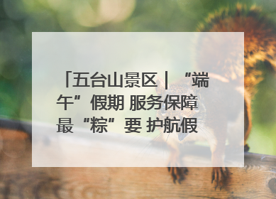 五台山景区｜“端午”假期 服务保障最“粽”要 护航假期“不打烊”