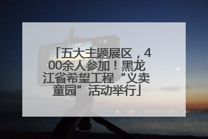 五大主题展区，400余人参加！黑龙江省希望工程“义卖童园”活动举行